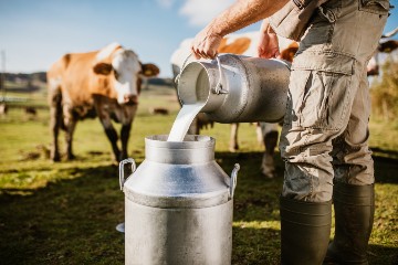 Creating Alternatives: Flying fresh milk to China